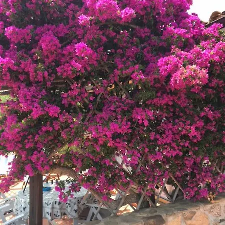 Apartment La Playa - Sole E Relax In Sardegna *